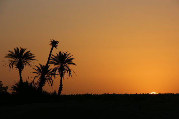 Riad La Maison Du Desert Oulad Driss Eksteriør billede