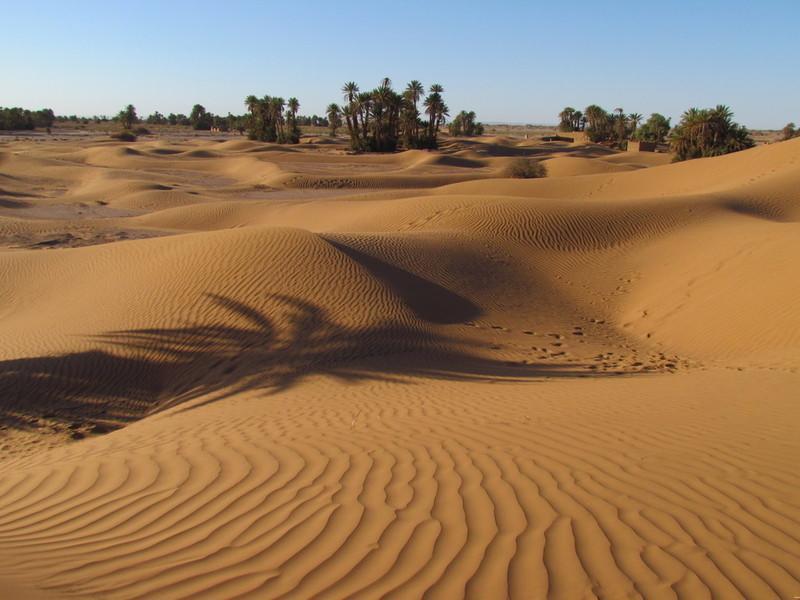 Riad La Maison Du Desert Oulad Driss Eksteriør billede